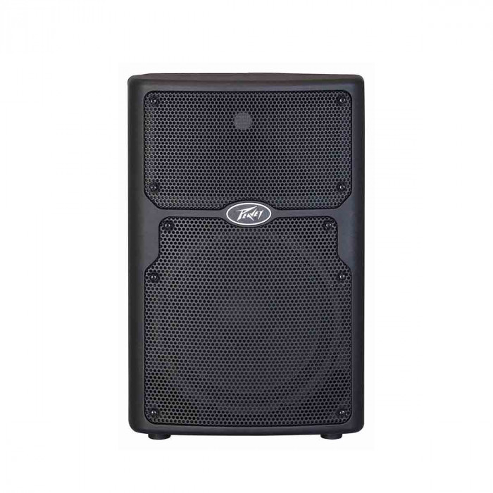 Peavey pvx hot sale 12